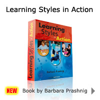 Learning Styles in Action book cover