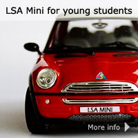 Learning Style Analysis - Junior MINI